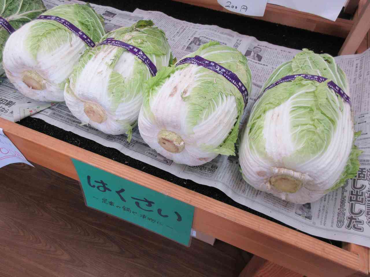 タイトルなし