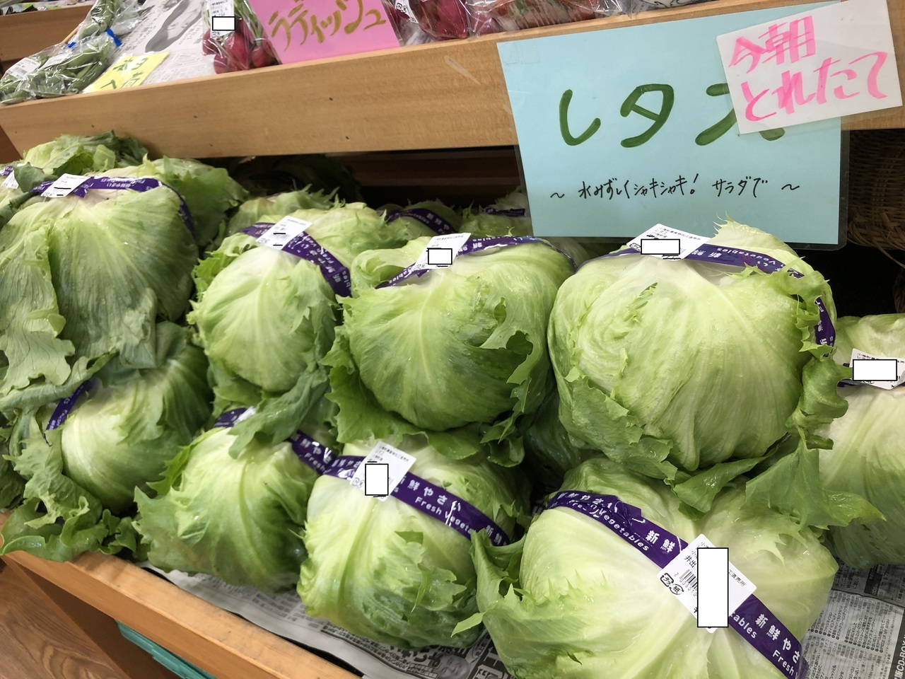 タイトルなし